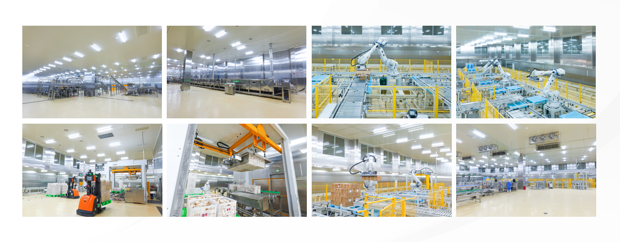 Stake(中国区)官方网站